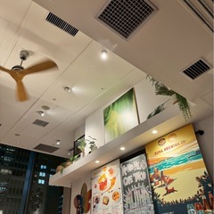 【JR田町駅 新橋駅近く】一緒に踊りましょ！フラショー♡の画像