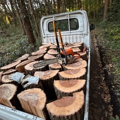 kunugi 玉切り40cmの画像