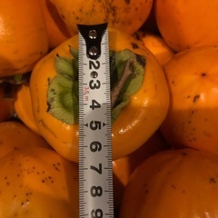 ＊渋柿干し柿用つる付きの画像