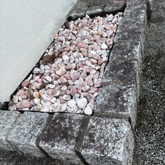 コーラルピンクの砂利の画像