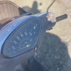 ホンダＡＦ62ディオ！プロフィール必見の画像