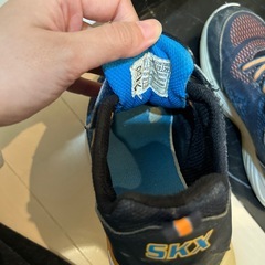 光る靴　スケッチャーズの画像