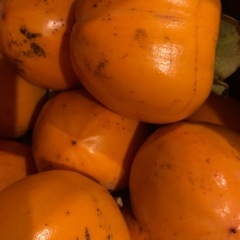 ☆渋柿　干し柿用　つる付きの画像