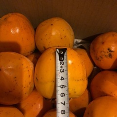 ☆渋柿　干し柿用　つる付きの画像