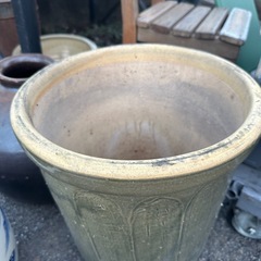 大きな鉢の画像