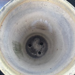 大きな鉢の画像