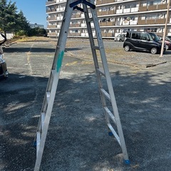 きゃたつ脚立の画像