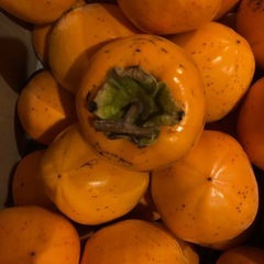 ☆☆4渋柿　干し柿用つる付き　の画像