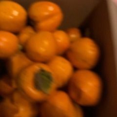 ☆☆4渋柿　干し柿用つる付き　の画像