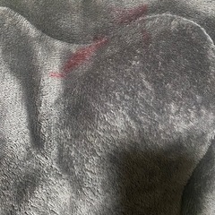 こたつ布団 　四角タイプのこたつ用の画像