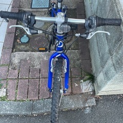 ルイガノ　J22の画像