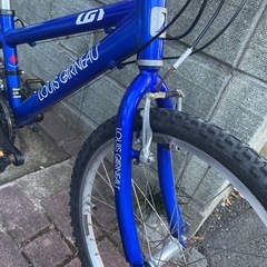 ルイガノ　J22の画像