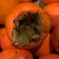 ★5 　
渋柿つる付きの画像