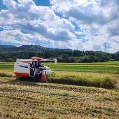 自家製新米夢つくし５キロ　令和７年１０月収穫の画像