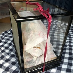 五月人形　かぶとの画像