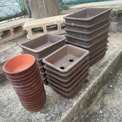 小さな　植木鉢の画像