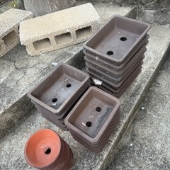 小さな　植木鉢の画像
