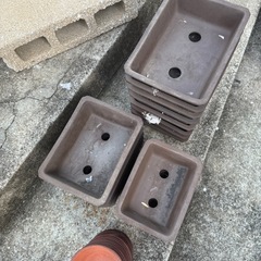 小さな　植木鉢の画像