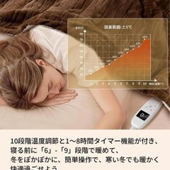 電気毛布 ⭐️高級フランネル両面仕様 10段階温度調節 188×130cm 大型の画像