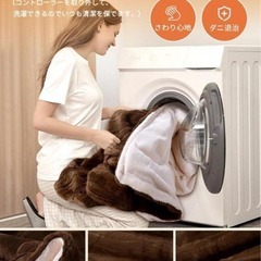 電気毛布 ⭐️高級フランネル両面仕様 10段階温度調節 188×130cm 大型の画像
