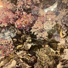 【12/14まで】【美品】池田学　誕生（Rebirth）」額縁付きの画像