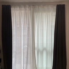 カーテン レース セット ニトリ ブラウンの画像