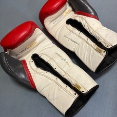 EVERLAST POWERLOCK ボクシンググローブ 16ozの画像