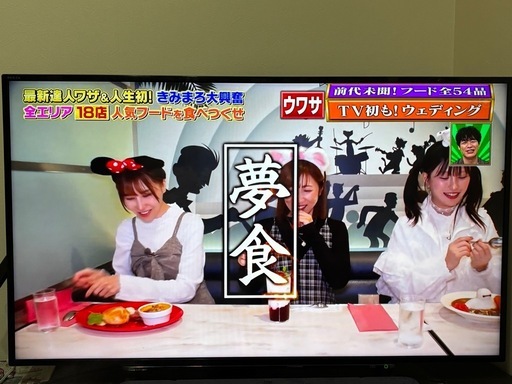 TOSHIBA REGZA 49型　液晶テレビ