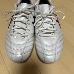 DS LIGHT CLUB WIDE 26.5cmの画像