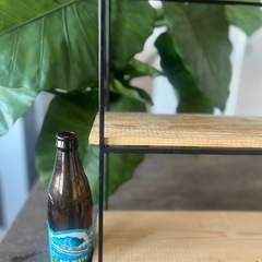 インテリア　シェルフ　商品棚の画像