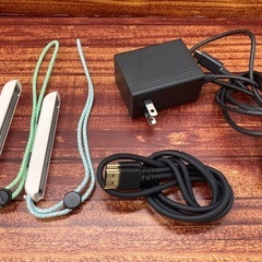 Nintendoより【Nintendo Switch あつまれどうぶつの森デザイン】の画像