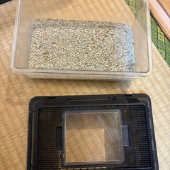 取引中【無料】水槽セットの画像