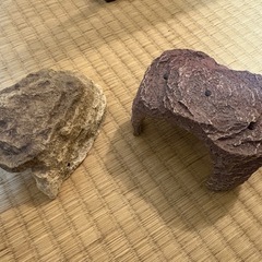 取引中【無料】水槽セットの画像