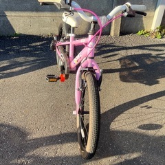 NO:12 子供自転車d-bike アイデス　18インチの画像