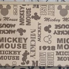 🐾ディズニー収納BOXの画像