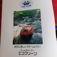 ★高級品 イタリー製「エコ クリーン」スチーム掃除機  ハウスクリーニングの画像