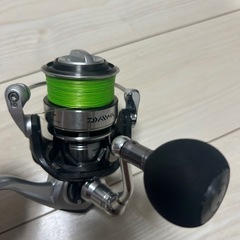 キャタリナ4020PE-Hの画像