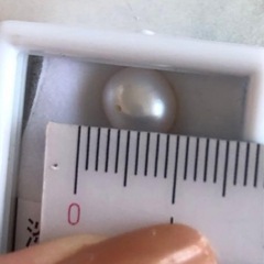 🌺淡水パール&ガーネット宝石ルース🌺の画像