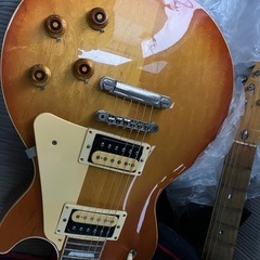 バーニーレスポールの画像