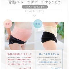 犬印　骨盤ベルトの画像