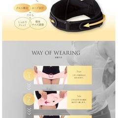 犬印　骨盤ベルトの画像