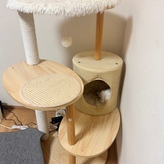 キャットタワーの画像