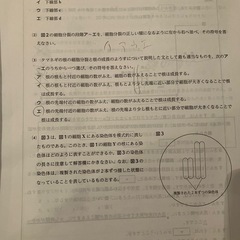 2024年度 11月　県立そっくりもぎ　V模擬の画像