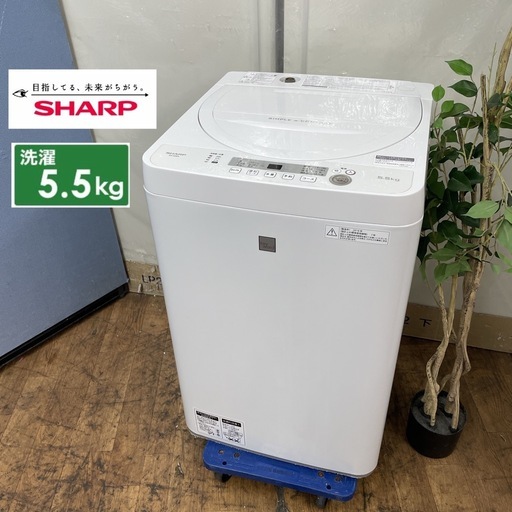 R532 ☀️ SHARP 洗濯機（洗濯5.5㎏) 18年製 ES-G5E5 ⭐ 動作確認済 ⭐ クリーニング済