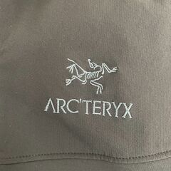 【正規品】ARC’TERYX アークテリクス ガンマLT フーディ サイズ：L ブラック 美品 着用歴少 ウィンドブレーカー アウター Y2418の画像