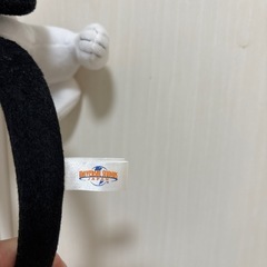 ユニバカチューシャの画像