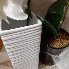 ★オシャレな造花３点セット　蘭、百合　花瓶つき　フェイクフラワーの画像