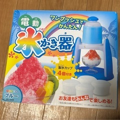 電動氷かき器の画像