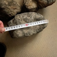 溶岩石？ビオトープ用に　Lサイズセット3個の画像