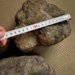 溶岩石？ビオトープ用に　Lサイズセット3個の画像